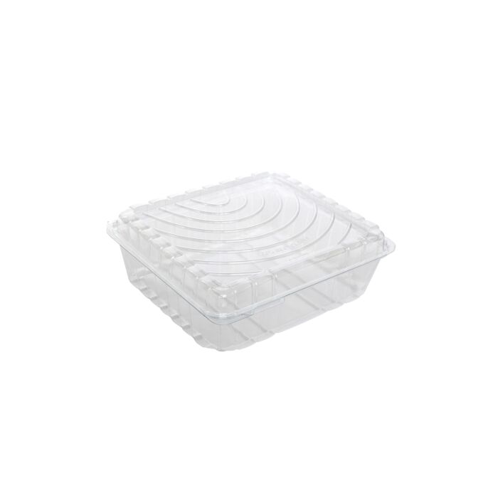 CAKE SLICE CONTAINER main product photo