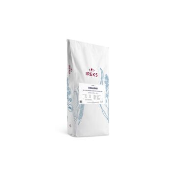 GLUTEN FREE SINGLUPAN BREAD FLOUR