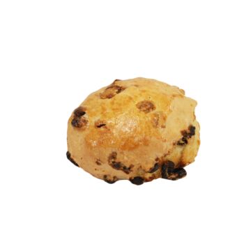 FRUIT SCONE