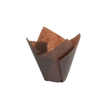 TULIP BROWN