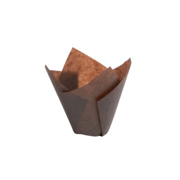 TULIP BROWN