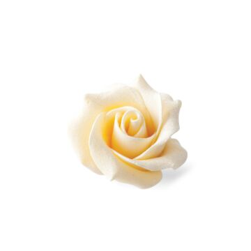 ROSE WHITE