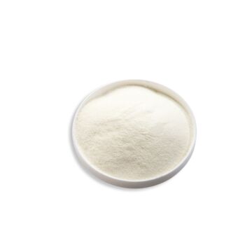 SKIMMED MILK POWDER