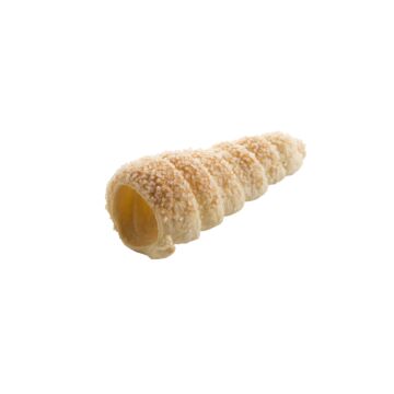 CREAM HORNS