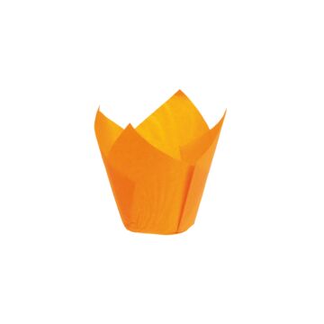 TULIP ORANGE