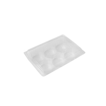 6 CAVITY HINGED CONTAINER