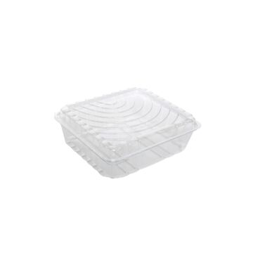 CAKE SLICE CONTAINER