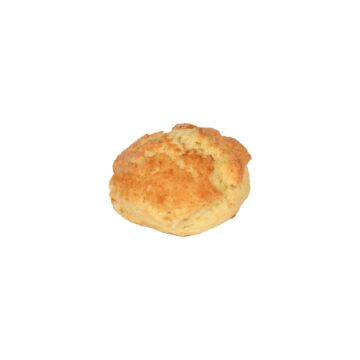 PLAIN SCONE