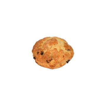 FRUIT SCONE